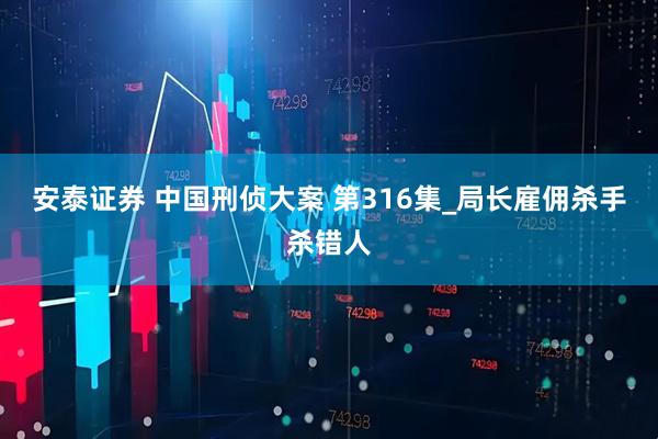 安泰证券 中国刑侦大案 第316集_局长雇佣杀手杀错人