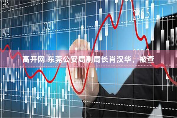 高开网 东莞公安局副局长肖汉华，被查