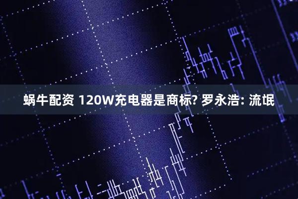 蜗牛配资 120W充电器是商标? 罗永浩: 流氓